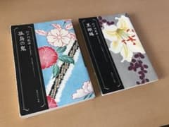 黒蜥蜴　孤島の鬼　2冊セット　江戸川乱歩のサムネイル