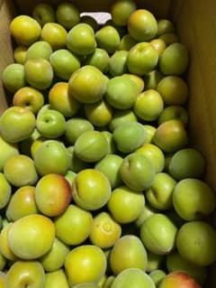 和歌山県産　南高梅　美品　Ｌ〜２Ｌ　4キロのサムネイル