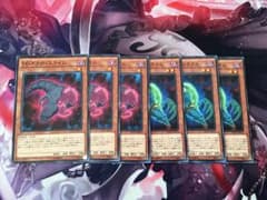 DDパーツのサムネイル
