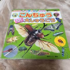 BCキッズ 新・はじめてのずかん こんちゅう101大しゅうごうのサムネイル