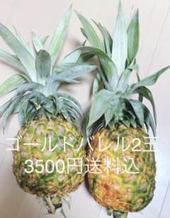 商様　高級品種　ゴールドバレル 2キロ(2玉)のサムネイル