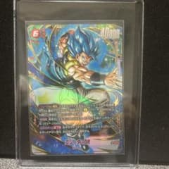 퓨전 월드 고지타 BR SCR 병렬 FB09-121