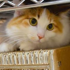 miduki様専用♪のサムネイル