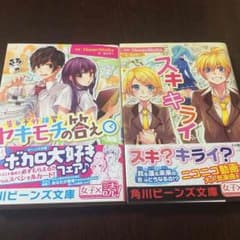 HoneyWorks 小説 二冊セットのサムネイル