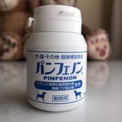 パンフェノンのサムネイル