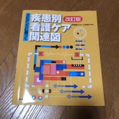 エビデンスに基づく疾患別看護ケア関連図のサムネイル