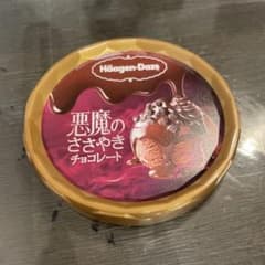 ハーゲンダッツ 悪魔のささやき チョコレートのサムネイル