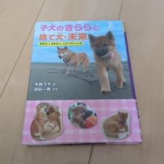 子犬のきららと捨て犬・未来 まあるい、まあるい、ふたつのシッポのサムネイル
