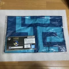 젤다의 전설 하이랄로부터의 카리모노들 몰래 망토 담요