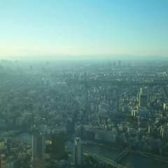 ヘモグロビンさん専用 確認お願いしますのサムネイル