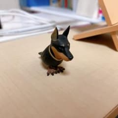 イヌトリのサムネイル