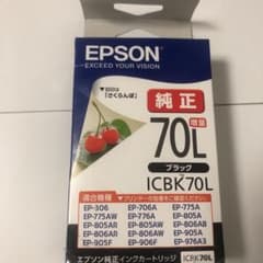 EPSON ICBK70Lのサムネイル