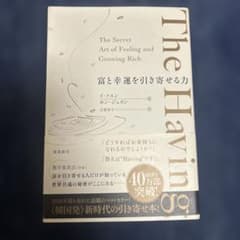 The Having : 富と幸運を引き寄せる力のサムネイル