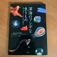 深海のフシギな生きもの : 水深11000メートルまでの美しき魔物たちのサムネイル