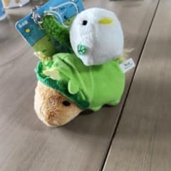 카피바라씨(용Ver) 나마케모노군 2종 세트 헤세이 당시물
