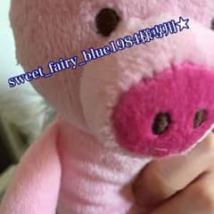 sweet_fairy_blue1984様専用★のサムネイル