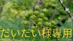 だいだい様専用です。実山椒300gのサムネイル