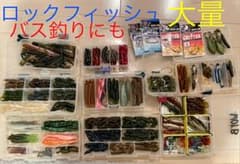 ロックフィッシュ　ブラックバス　ワーム　セットのサムネイル