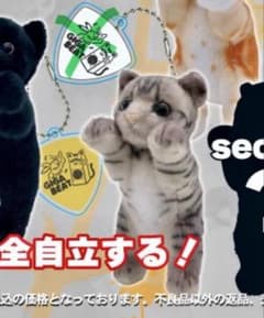 SOPHIA黒柳能生グッズたっちいZoo - メルカリ