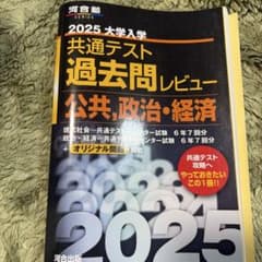 2025 大学入学共通テスト過去問レビュー 公共・政治経済 (河合塾)のサムネイル