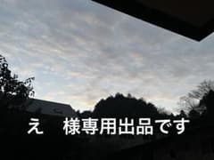 え　様専用出品　ARC ATOMのサムネイル
