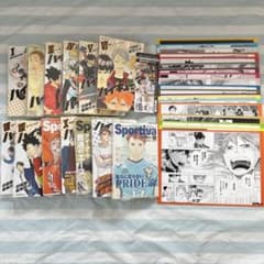 ハイキュー ショーセツバン 全巻 未開封 リミックス アニメイト特典 コンプ ハイキュー ショーセツバン 全巻 未開封 リミックス アニメイト