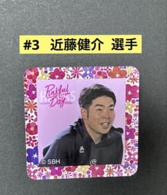 近藤健介選手 ピンクフルデー クリップ 2026 - メルカリ
