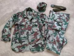 JGSDF 迷彩服1型 熊笹迷彩 - メルカリ