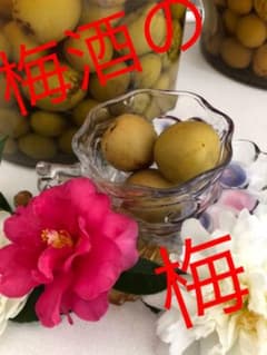 梅酒の梅 1kgのサムネイル