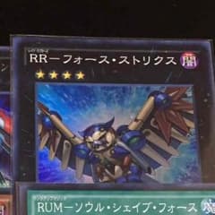 【狐@プロフ必読様専用】RR-フォース・ストリクスのサムネイル