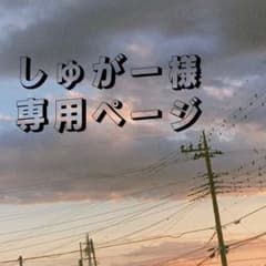 しゅがー様 専用ページのサムネイル