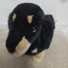 トイザらス アニマル　ぬいぐるみ　犬　ダックスフンド m86332527206_1.jpg?1732069910