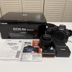 シャッター数1000回以下 Canon EOS R6 Mark Ⅱ シャッター数1000回以下 Canon EOS R6 Mark Ⅱ - メルカリ