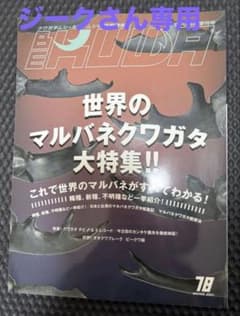 BE-KUWA 昆虫専門誌 78号・79号 2冊セットのサムネイル