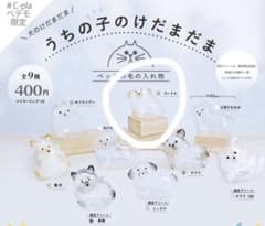うちの子のけだま プードルのサムネイル