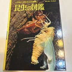昆虫　図鑑　小学館　学習百科　子ども　大人のサムネイル