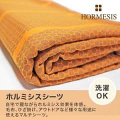 プラスケア ホルミシスシーツ 正規品 未使用のサムネイル
