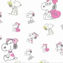 ゆりママ♡様専用 新品未使用 授乳服 ブランエ ブランシュのサムネイル