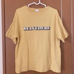 Champion BELVEDERE 半袖Tシャツ イエロー レディースMのサムネイル