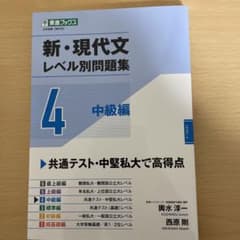 新・現代文レベル別問題集④ 中級編のサムネイル