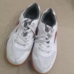 MIZUNO 体育館シューズ 25.5cmのサムネイル