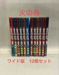 火の鳥 手塚治虫 1〜11巻 全12冊セット 別巻付き 朝日 ソノラマ - メルカリ