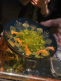 ななこ様専用ページのサムネイル