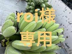 アイスクリームバナナのサムネイル