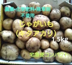 新じゃが芋【キタアカリ】(農薬不使用)1.5kg宅急便コンパクトのサムネイル