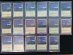 【希少、レア】MTG アリーナ　平地　Foil　17枚　ICE版 希少、レア】MTG アリーナ 平地 Foil 17枚 ICE版 - メルカリ