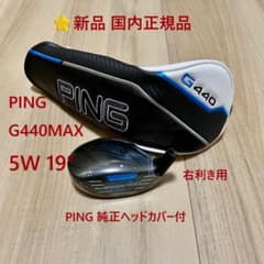 ⭐️新品 国内正規品 ピン G440MAX 5W19° ヘッド単品 純正HC付 - メルカリ