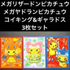 ポケカ メガリザードンピカチュウ メガヤドラン コイキング ギャラドス