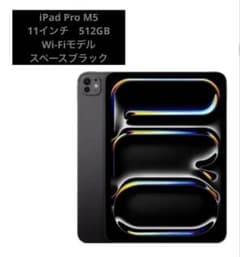 美品 iPad Pro M5 11インチ 512GB Apple 回転ケース付き - メルカリ