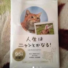 人生はニャンとかなる！のサムネイル